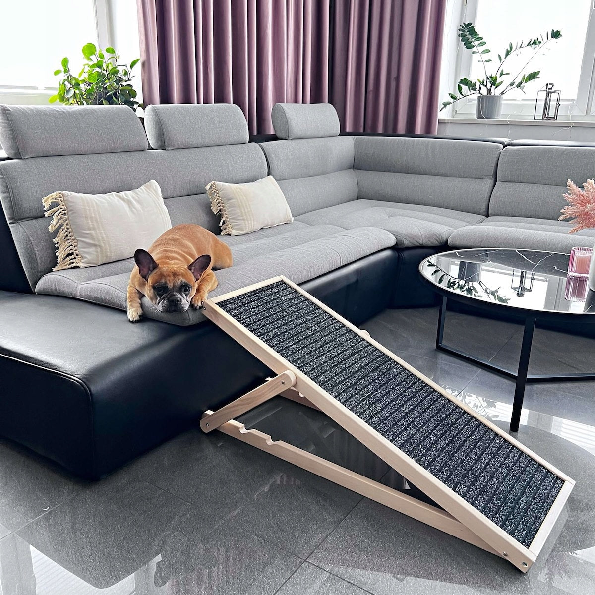 Rampa pentru caini si pisci cu 3 nivele de reglare 42-59cm, antiderapanta, lungime 103cm