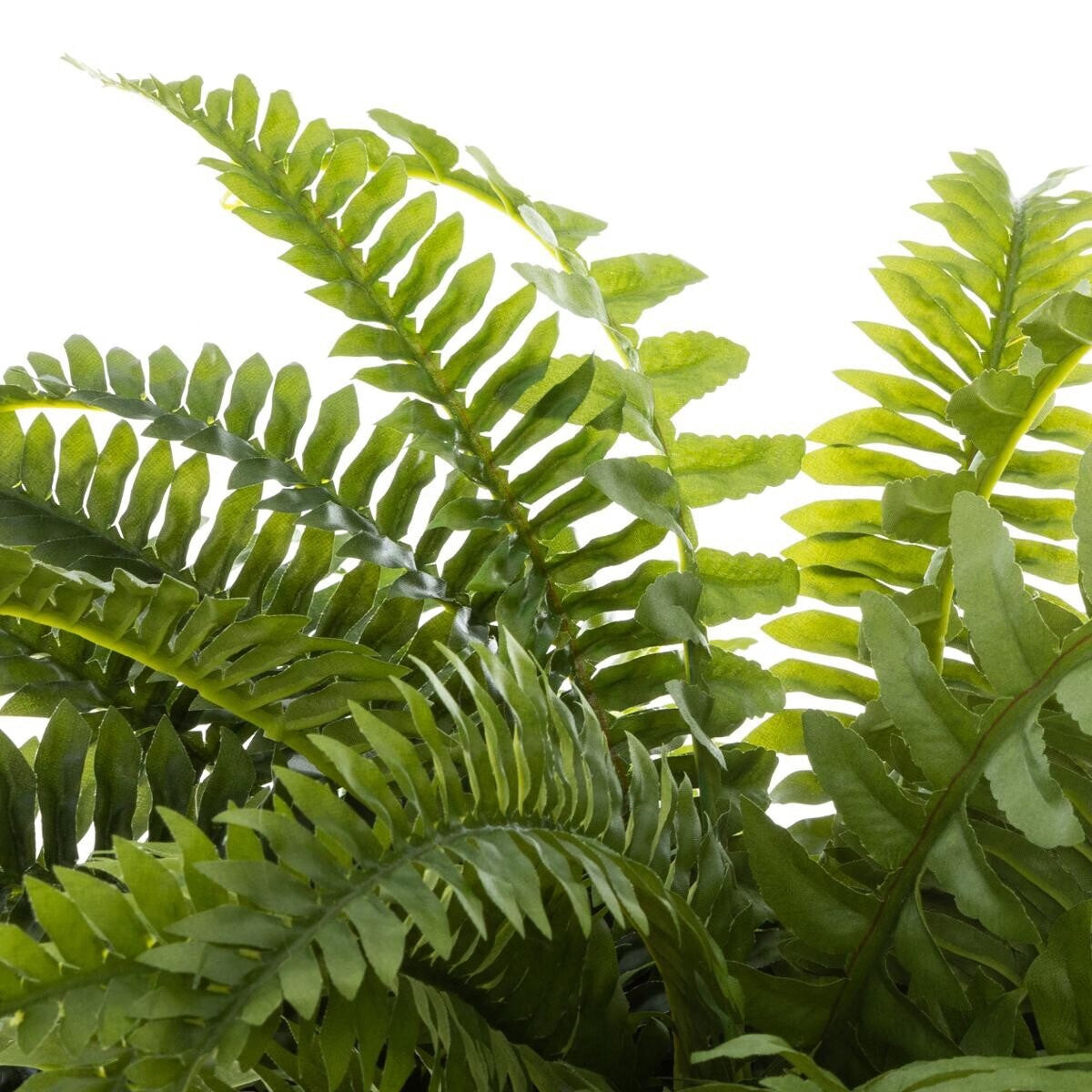 Planta artificiala Atmosphera feriga cu ghiveci, 55 cm, verde