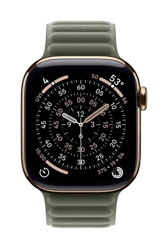 Apple AW BAND 42MM MAGNETIC LINK SAGE GRAY S/M