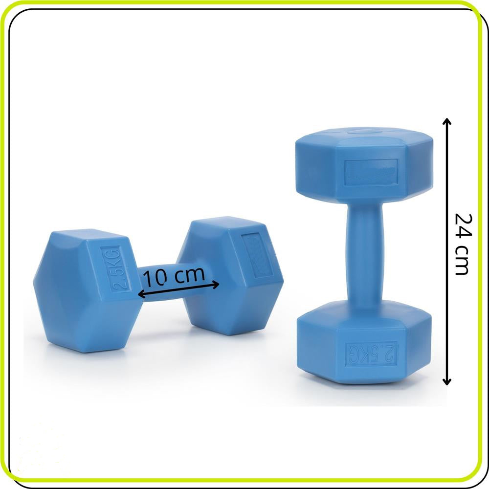Set gantere hex 2x2,5 kg, bitum cu invelis rezistent PP, albastru