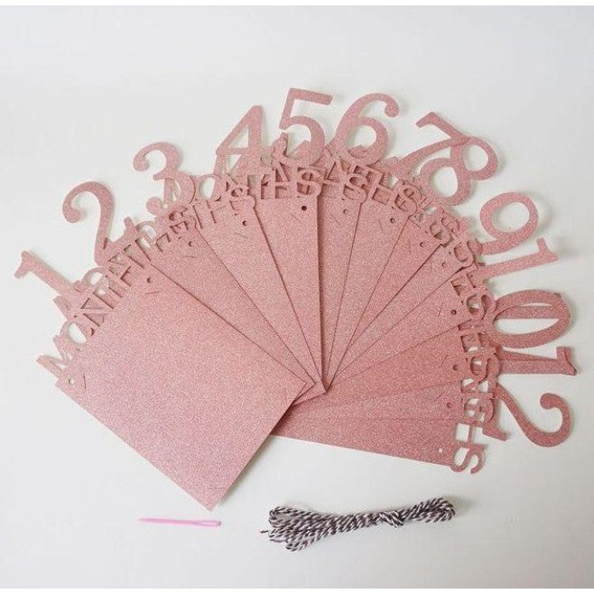 Banner pentru Poze, 15.2x10.2 cm, Tema Prima Aniversare, Model Primele 12 Luni, Rola Ata Inclusa, Roz