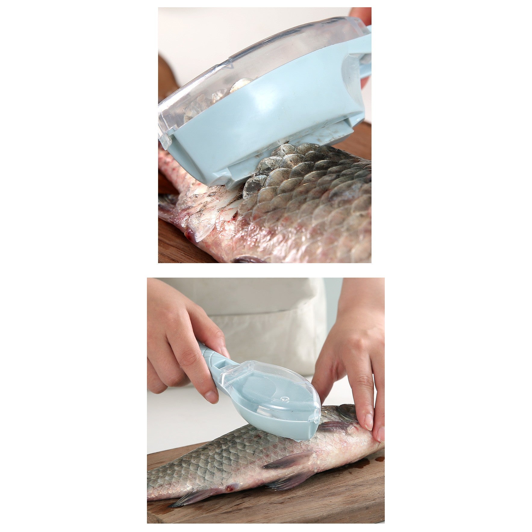 Curatator Manual Solzi de Peste, Forma Peste , Recipient cu Capcac pentru Solzi, Plastic, Albastru deschis, 16x6 cm