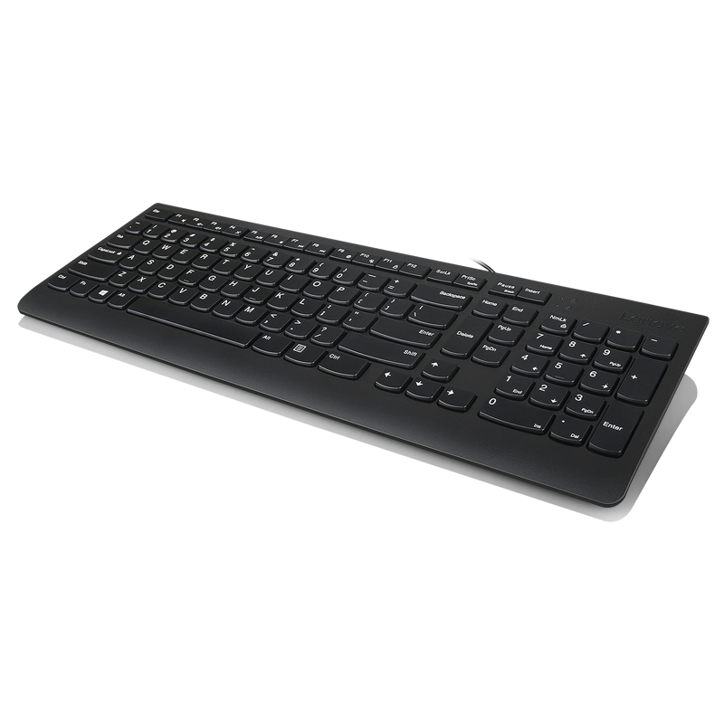 Lenovo 300 USB Keyboard - US English "GX30M39655"