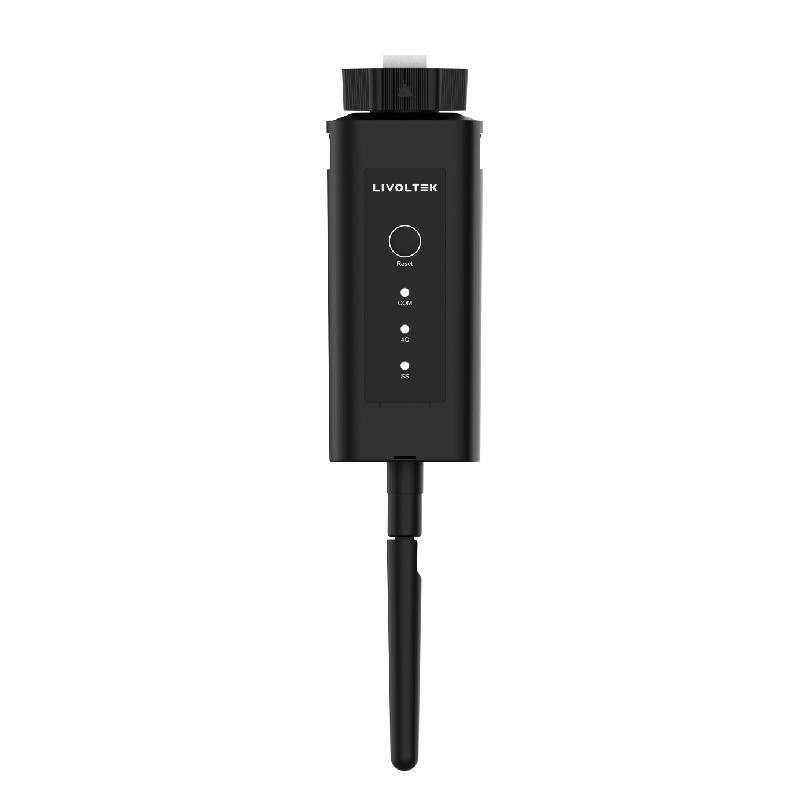 Livoltek PSD2000-4G