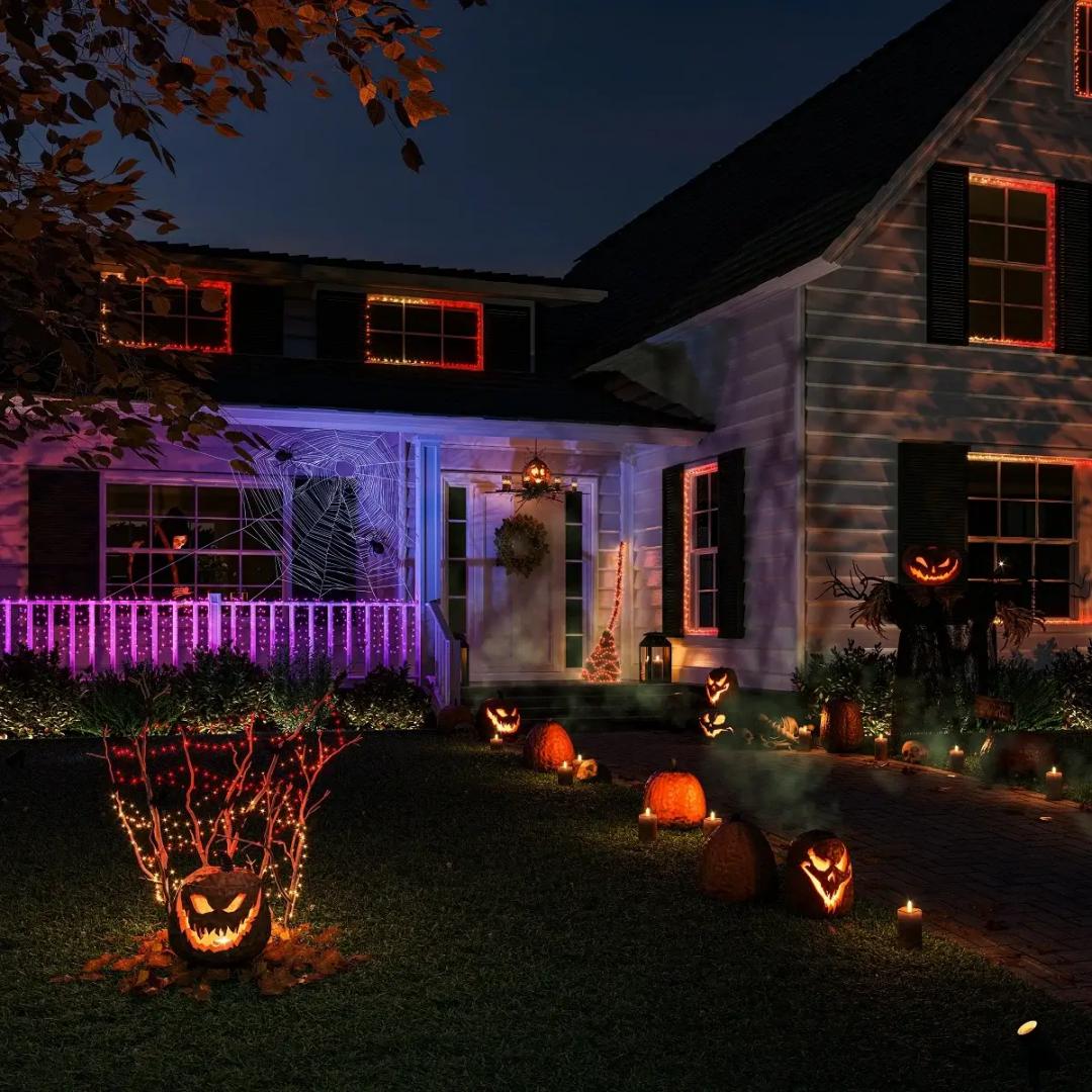 Ghirlanda inteligenta LED RGB Philips Hue Festavia, 250 LED-uri , 24V ,14W, lumina alba si color (2000-6500K), 20m, IP44, Negru