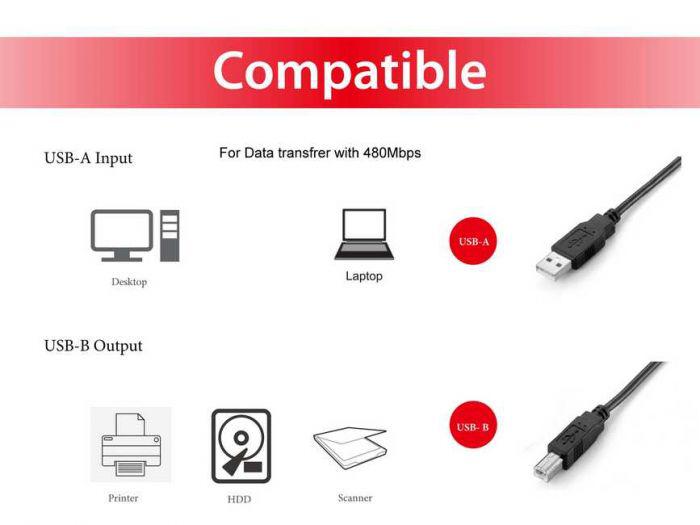 Equip USB Cable 2.0 128860 (equip 128860 USB 2.0 Type a to Type B Cable)