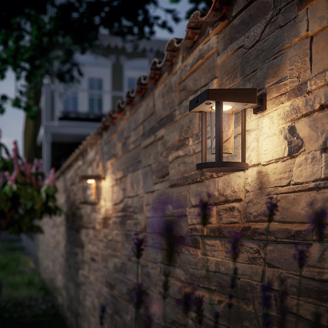 Camill Ue Sr Wa Rd 1.4W 30K Bl Cl IR 06 (Aplica LED solara pentru exterior cu senzor de miscare Philips Camillround Clear)