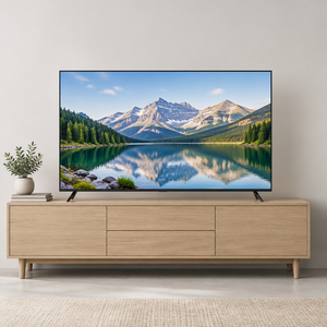 Televizoare