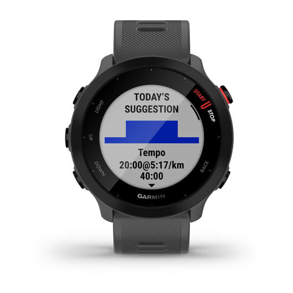 Smartwatch Forerunner 55 Monterra Grey "010-02562-13"