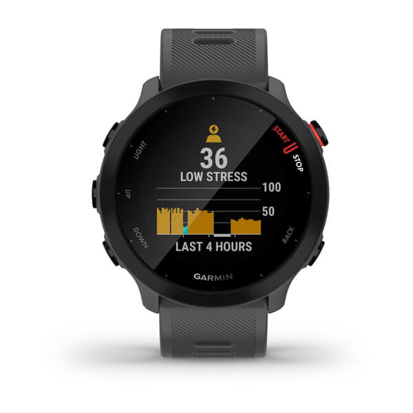 Smartwatch Forerunner 55 Monterra Grey "010-02562-13"