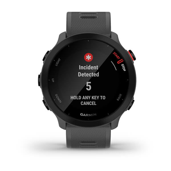Smartwatch Forerunner 55 Monterra Grey "010-02562-13"