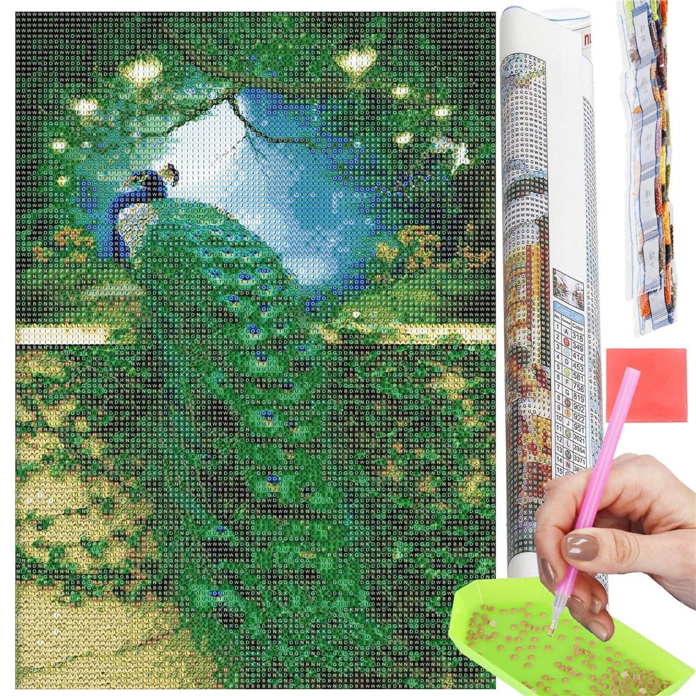Set de broderie cu diamante 5D, 30x40cm, model Paun - 20