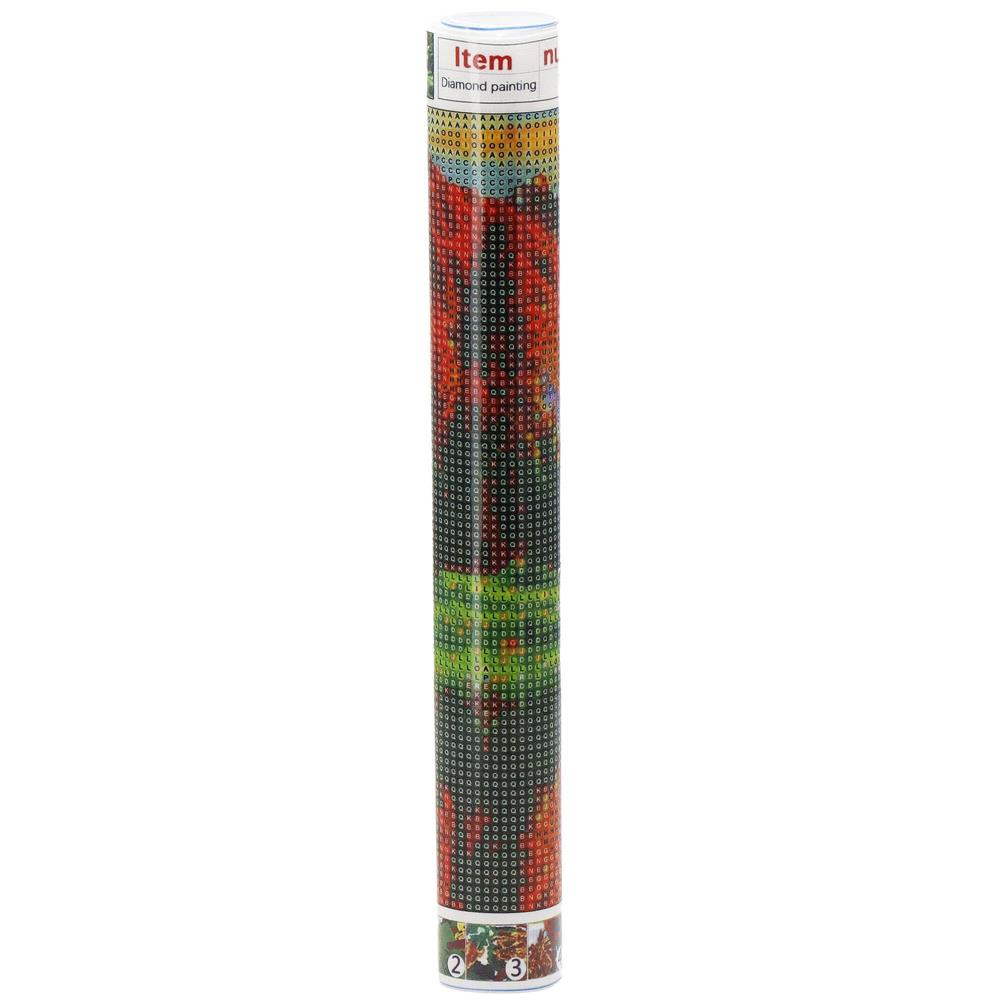 Set de broderie cu diamante 5D, 30x40cm, model Paun - 12