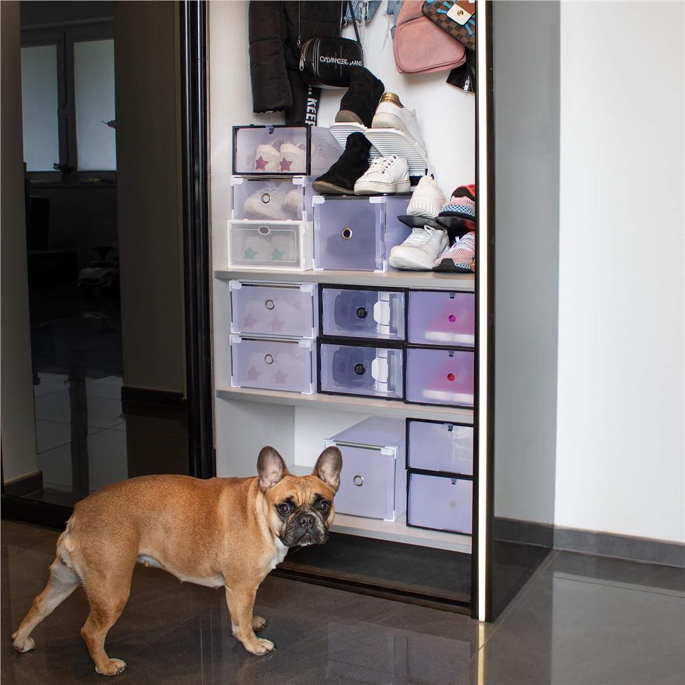 Set 10 cutii organizare pentru pantofi, 30x21x12, transparent