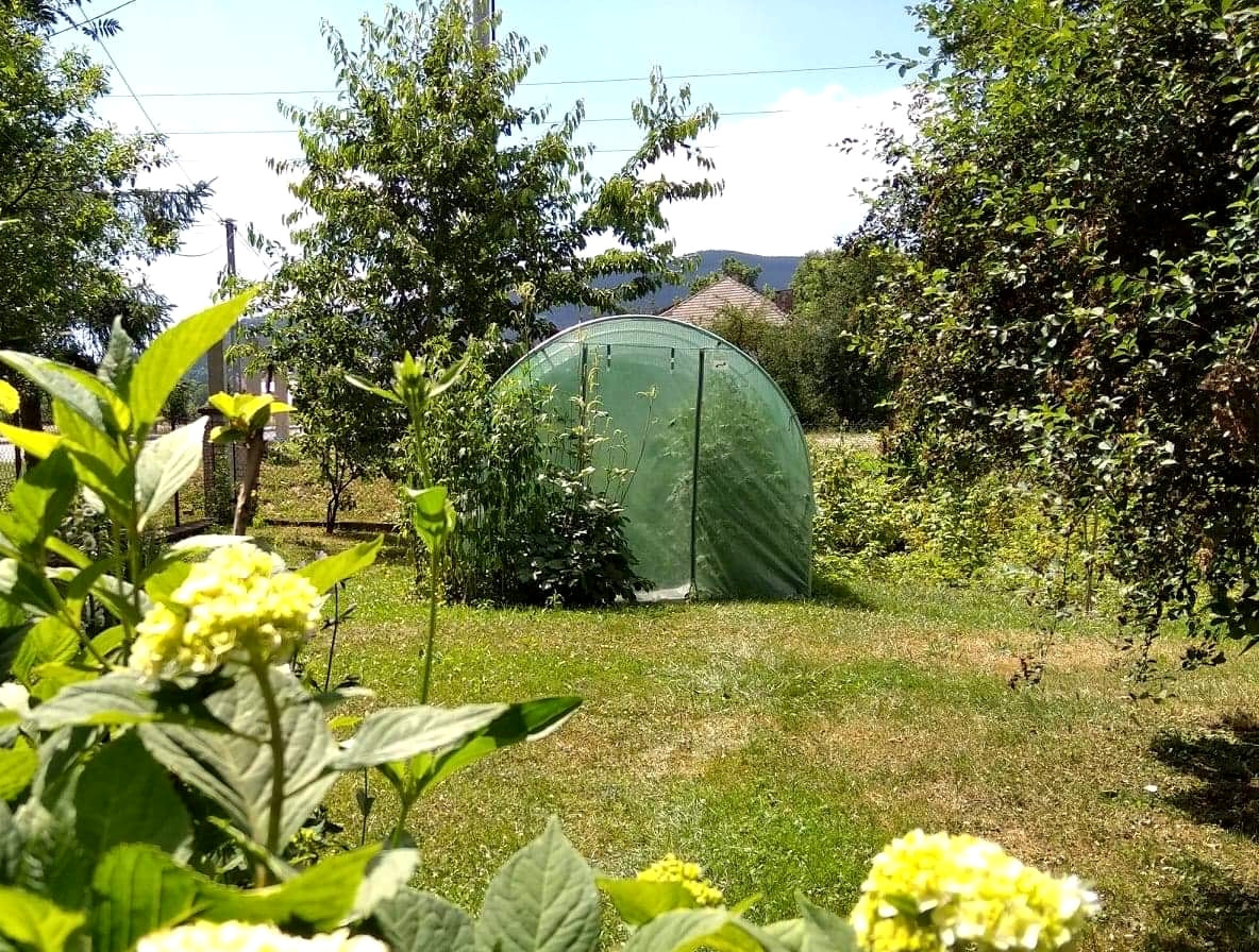 Sera de gradina, tip tunel cu cadru metalic, 300x200cm, verde, 6mp, usa cu cadru