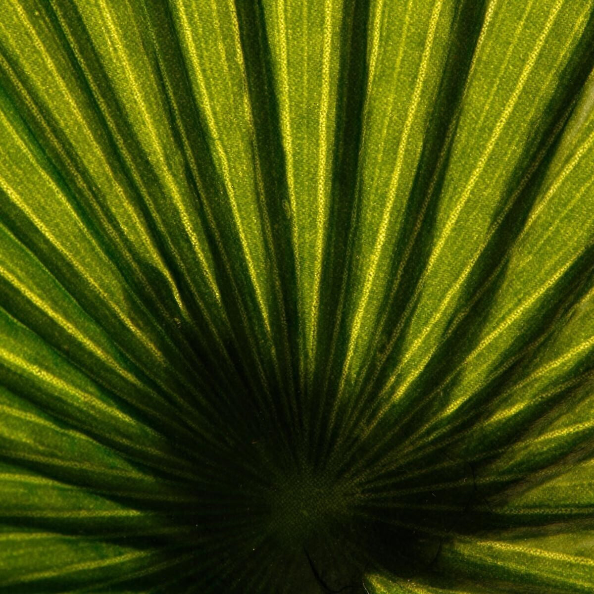 Planta artificiala Atmosphera Palmier cu ghiveci, 110x110x190 cm, verde