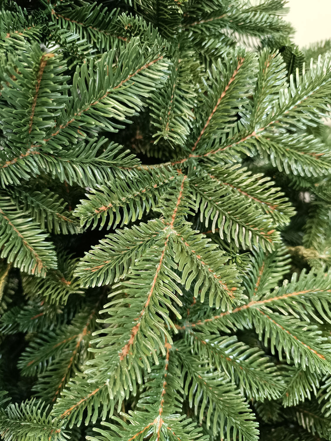 Brad artificial Christmas Deluxe by Sersimo, Canada verde, 3D, 250cm