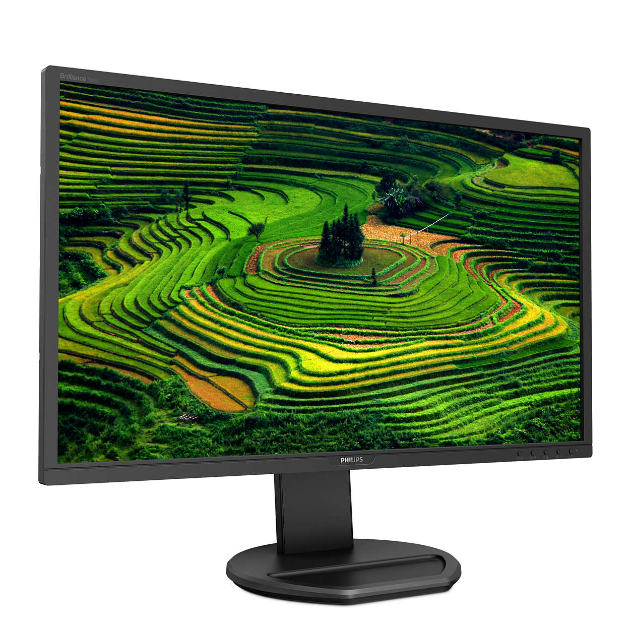 MONITOR PHILIPS 21.5", home, office, TFT, Full HD (1920 x 1080), Wide, 250 cd/mp, 1 ms, VGA, HDMI, "221B8LHEB/00"
