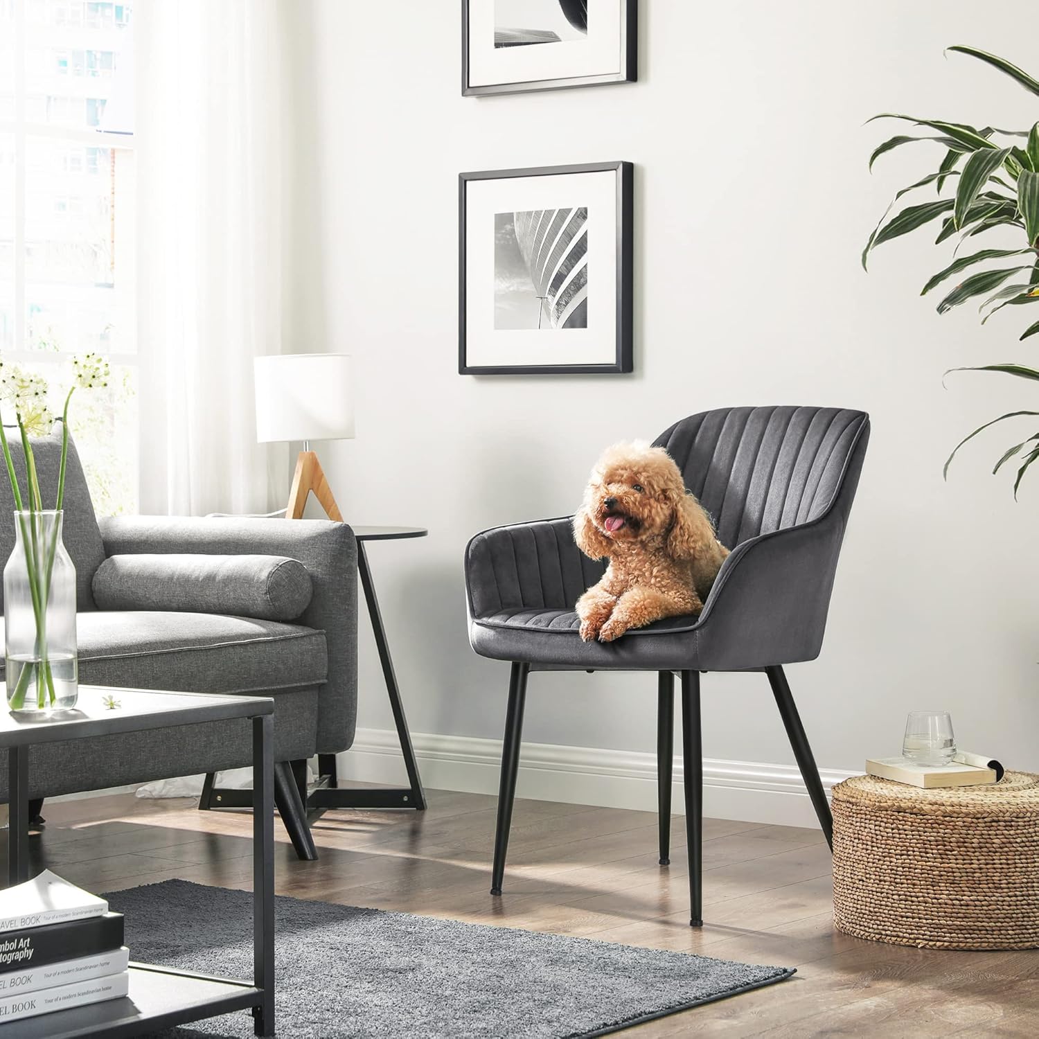 SONGMICS Scaun living tapitat din catifea cu cotiere, sarcina 110 kg, 63x60x85 cm, gri - 5