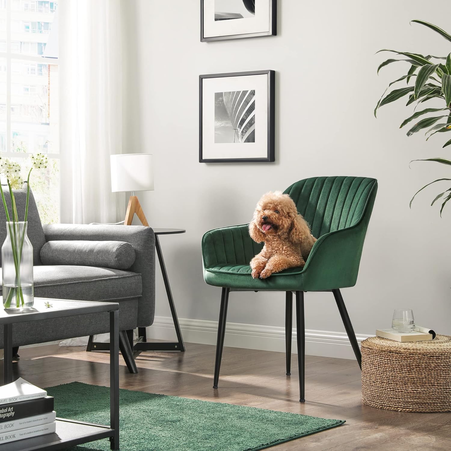 SONGMICS Scaun living tapitat din catifea cu cotiere, sarcina 120 kg, 63x60x85 cm, verde