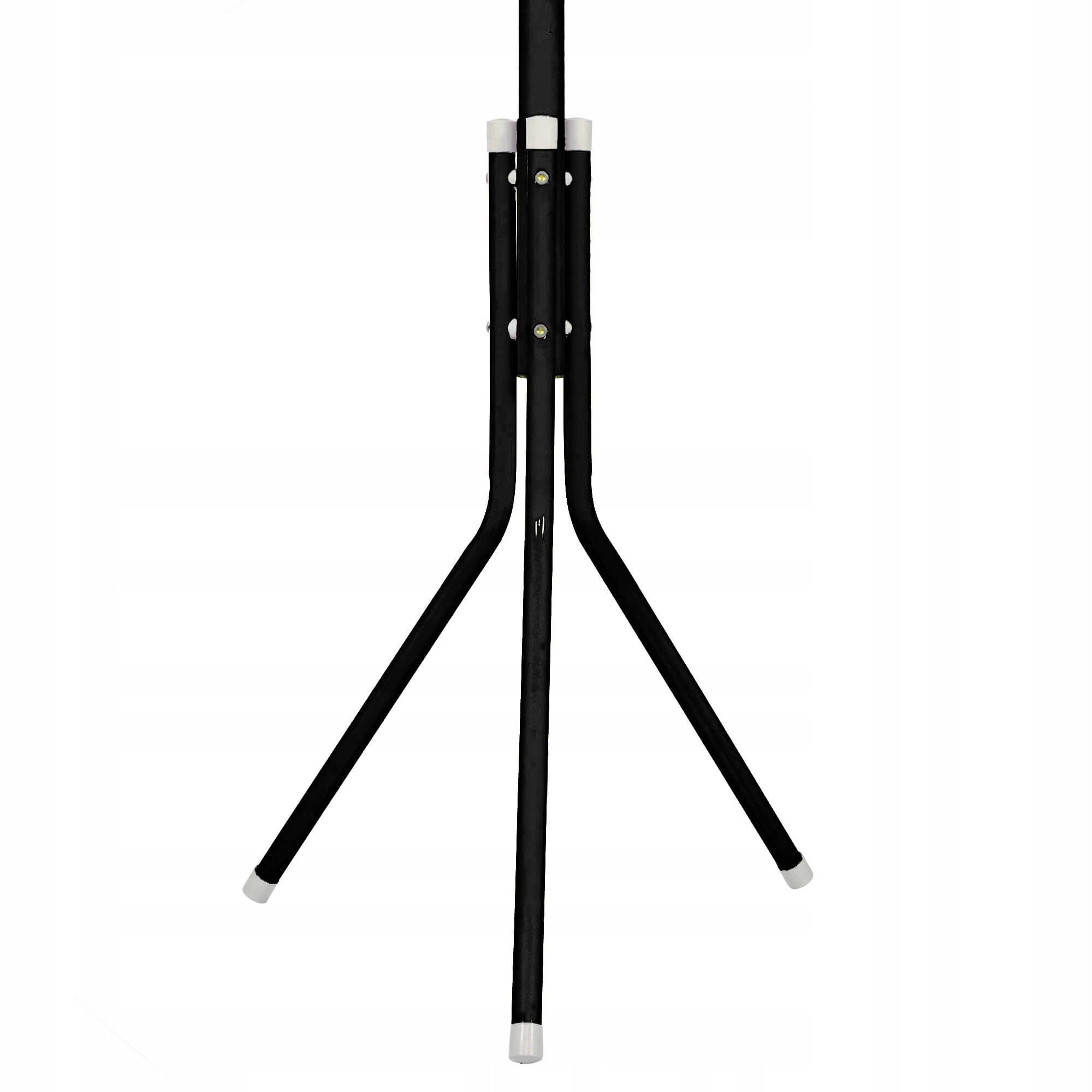 Cuier tip pom metalic Sersimo, 12 agatatoare, 177cm, negru