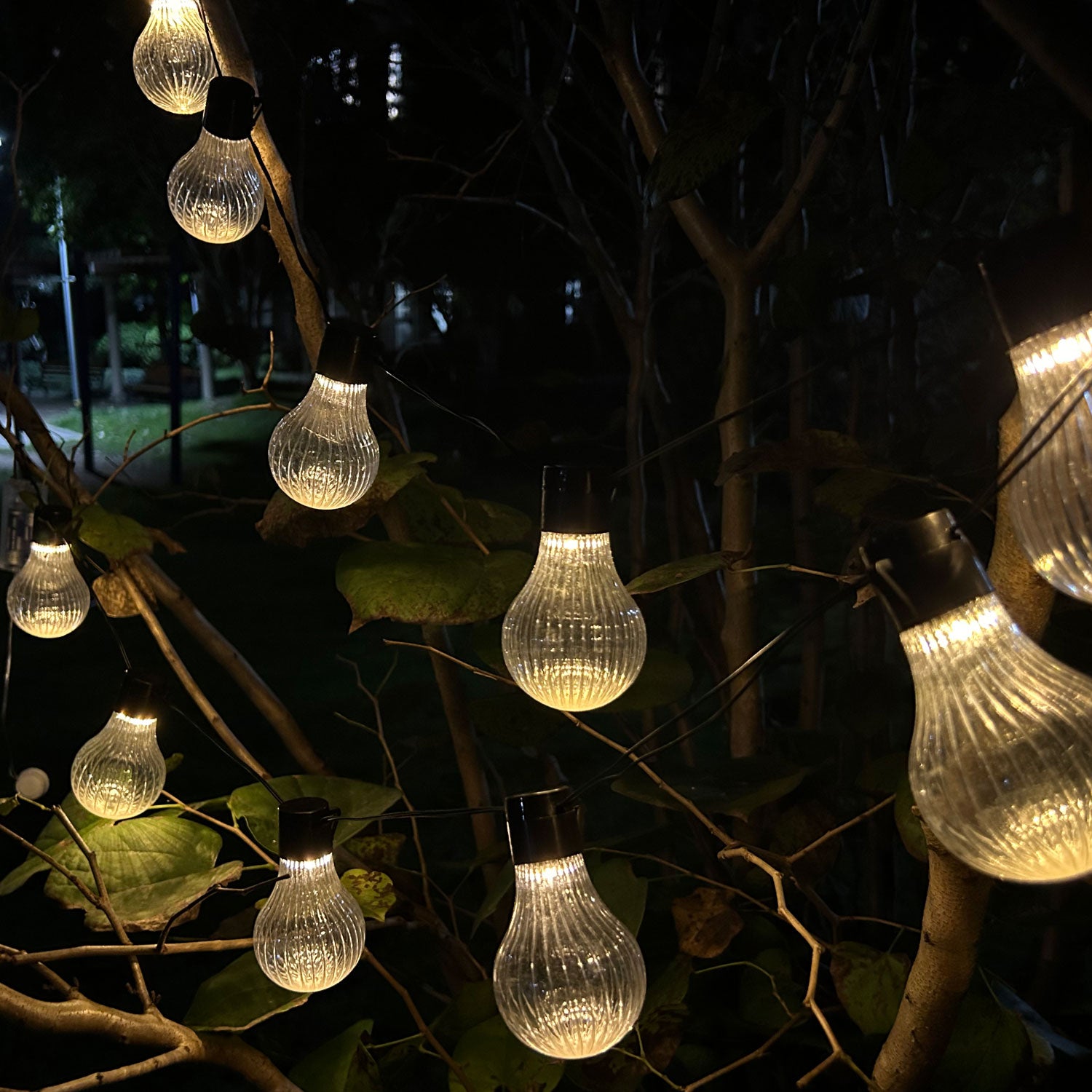 Ghirlanda luminoasa, LED, model Stripes, 20 becuri, 580cm, incarcare solara, lumina alb cald