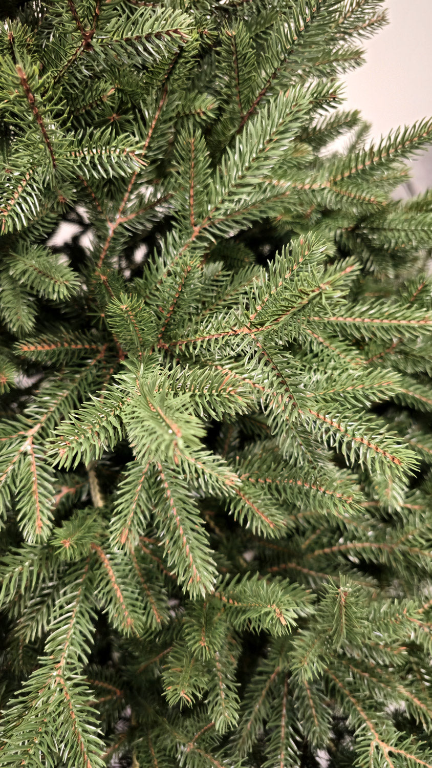 Brad artificial Christmas Deluxe by Sersimo, Alpin Select, integral 3D, 210cm