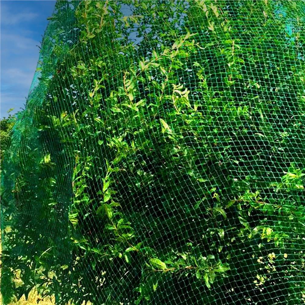 Plasa anti pasari 8x14m din polietilena, cu pini de fixare, verde