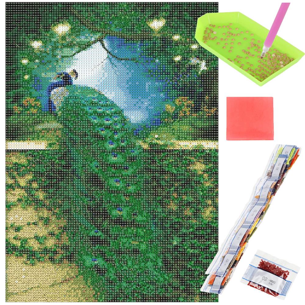 Set de broderie cu diamante 5D, 30x40cm, model Paun - 16