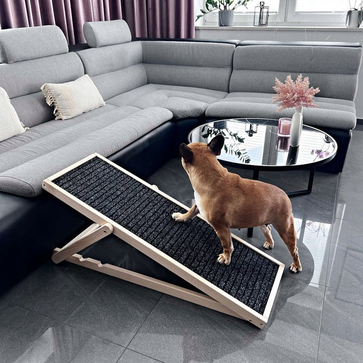 Rampa pentru caini si pisci cu 3 nivele de reglare 42-59cm, antiderapanta, lungime 103cm