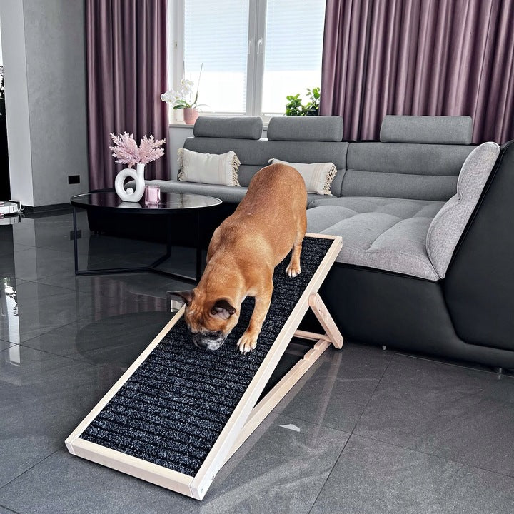 Rampa pentru caini si pisci cu 3 nivele de reglare 42-59cm, antiderapanta, lungime 103cm