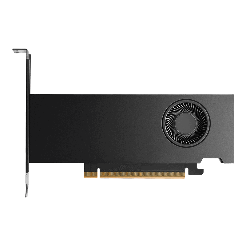 Pny Rtx Pro 2000 Blackwell (Placa video Pny Rtx Pro 2000)