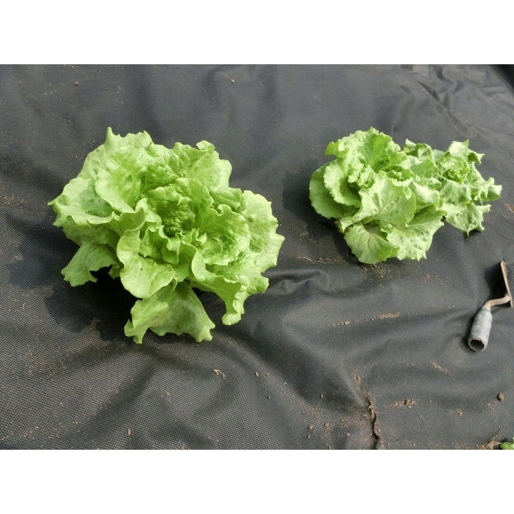 Folie agrotextil, mulcire, antiburuieni, filtru UV, 20 x 1 metru, 50g/m2, negru
