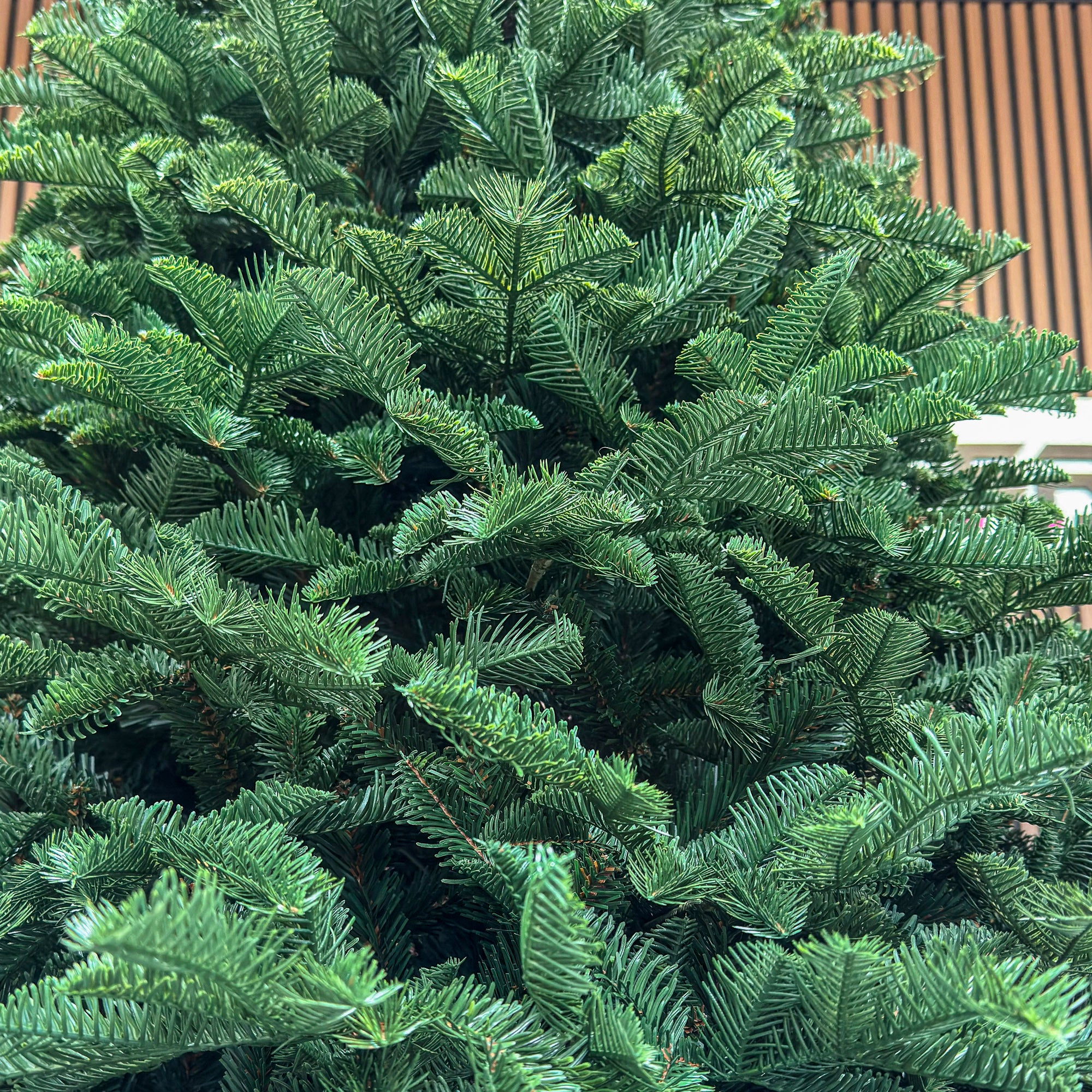 Brad artificial Christmas Deluxe by Sersimo, Alaska, verde, mix 2D+3D, 210 cm