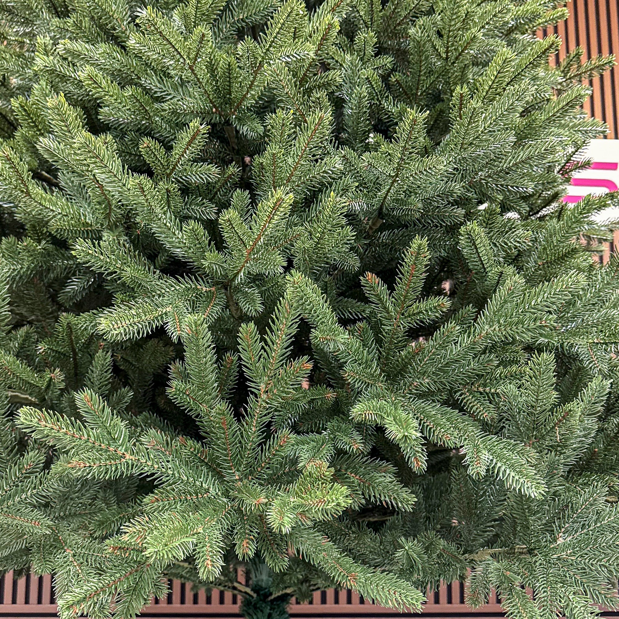 Brad artificial Christmas Deluxe by Sersimo, Alpin Select, integral 3D, 300 cm