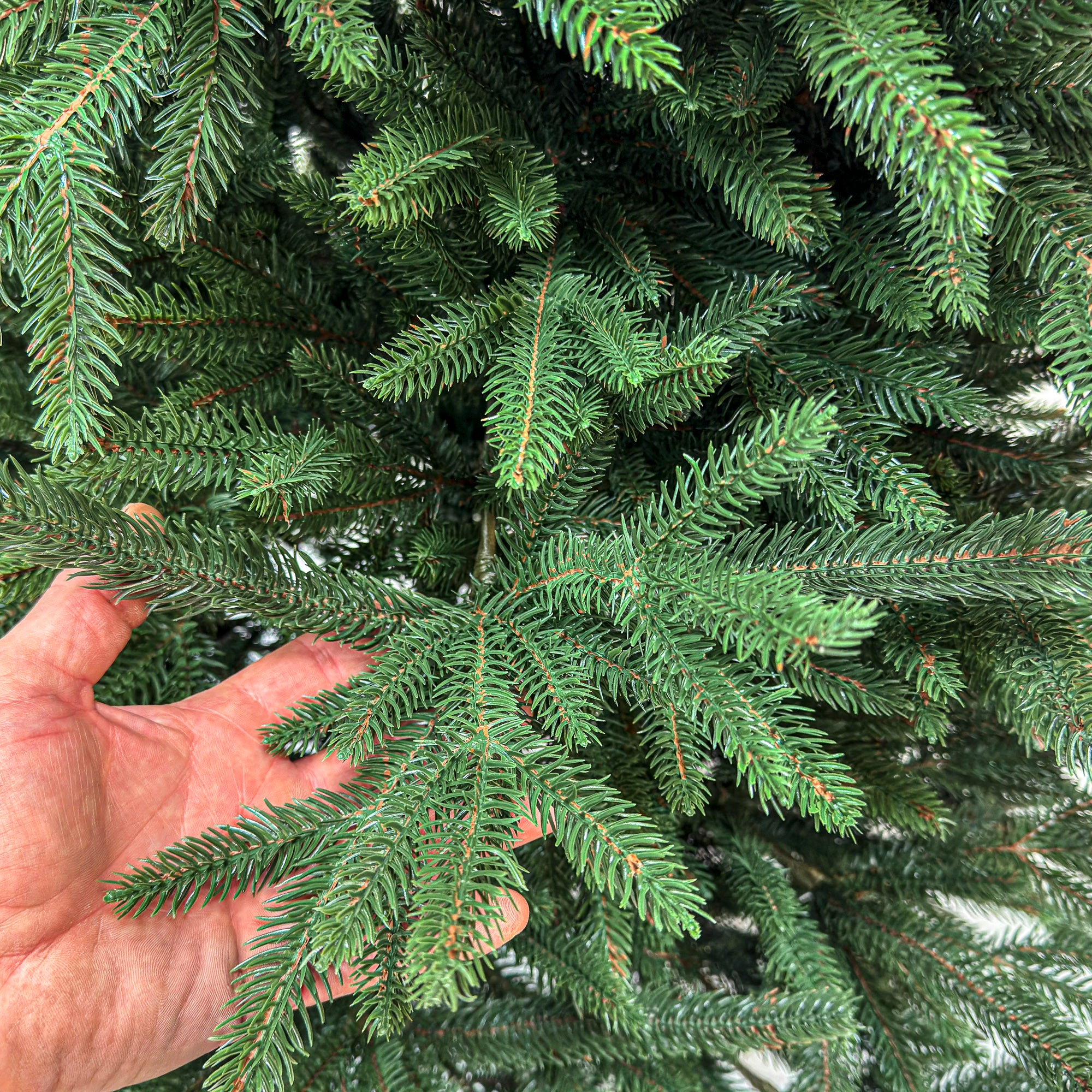 Brad artificial Christmas Deluxe by Sersimo, Alpine, verde, integral 3D, 180 cm