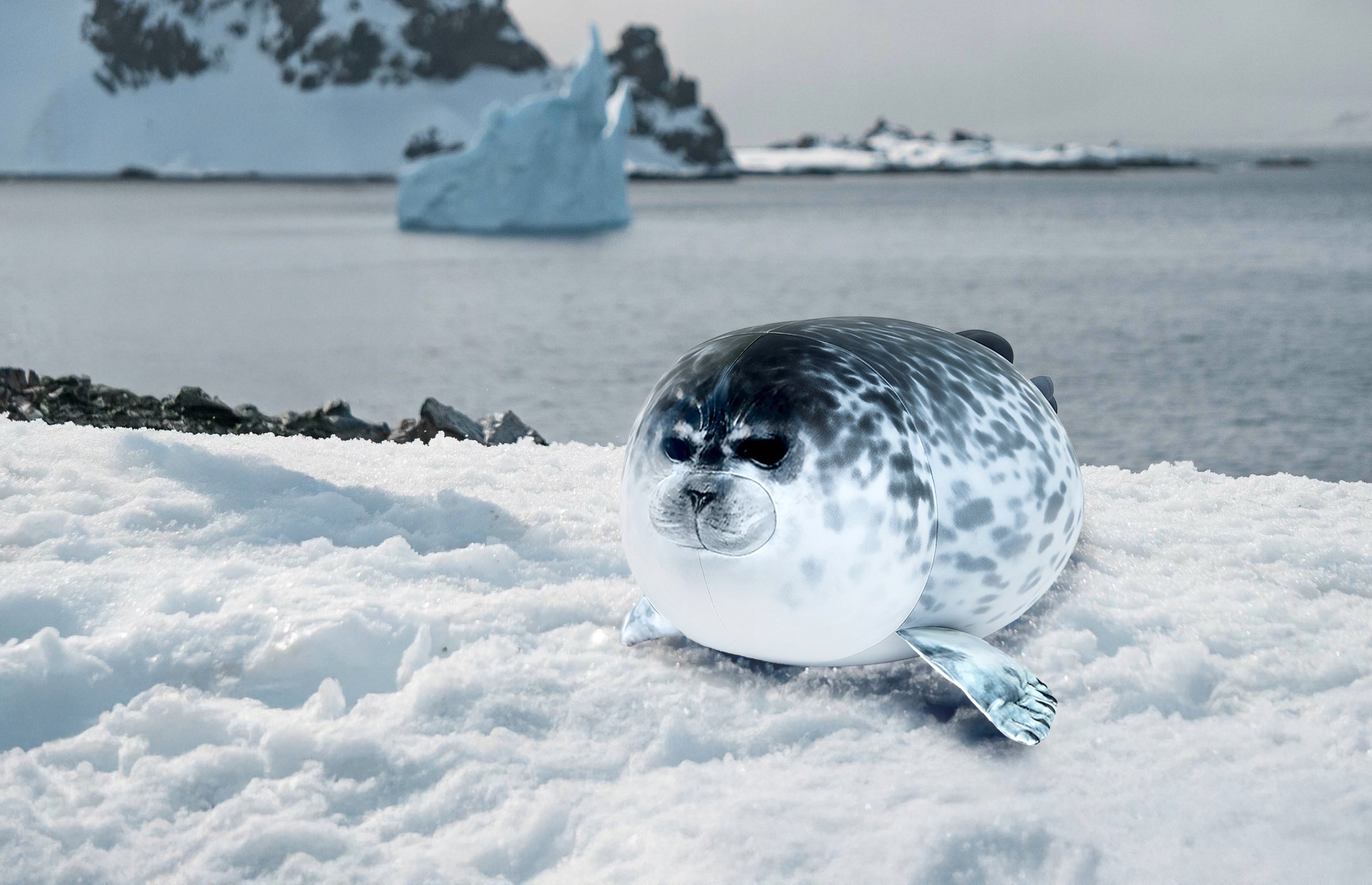 Foca de plus moale 60 cm, jucarie pufoasa pentru copii si adulti, pernuta decorativa gri