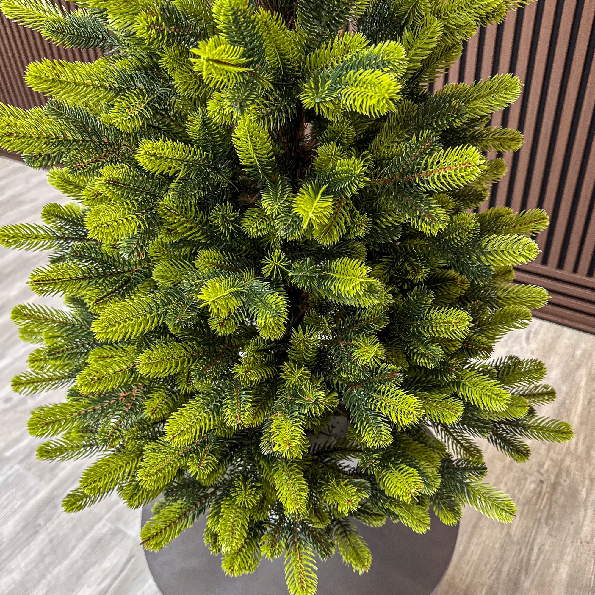 Brad artificial Christmas Deluxe by Sersimo, Viena Elite Spring in ghiveci, 3D, 110 cm