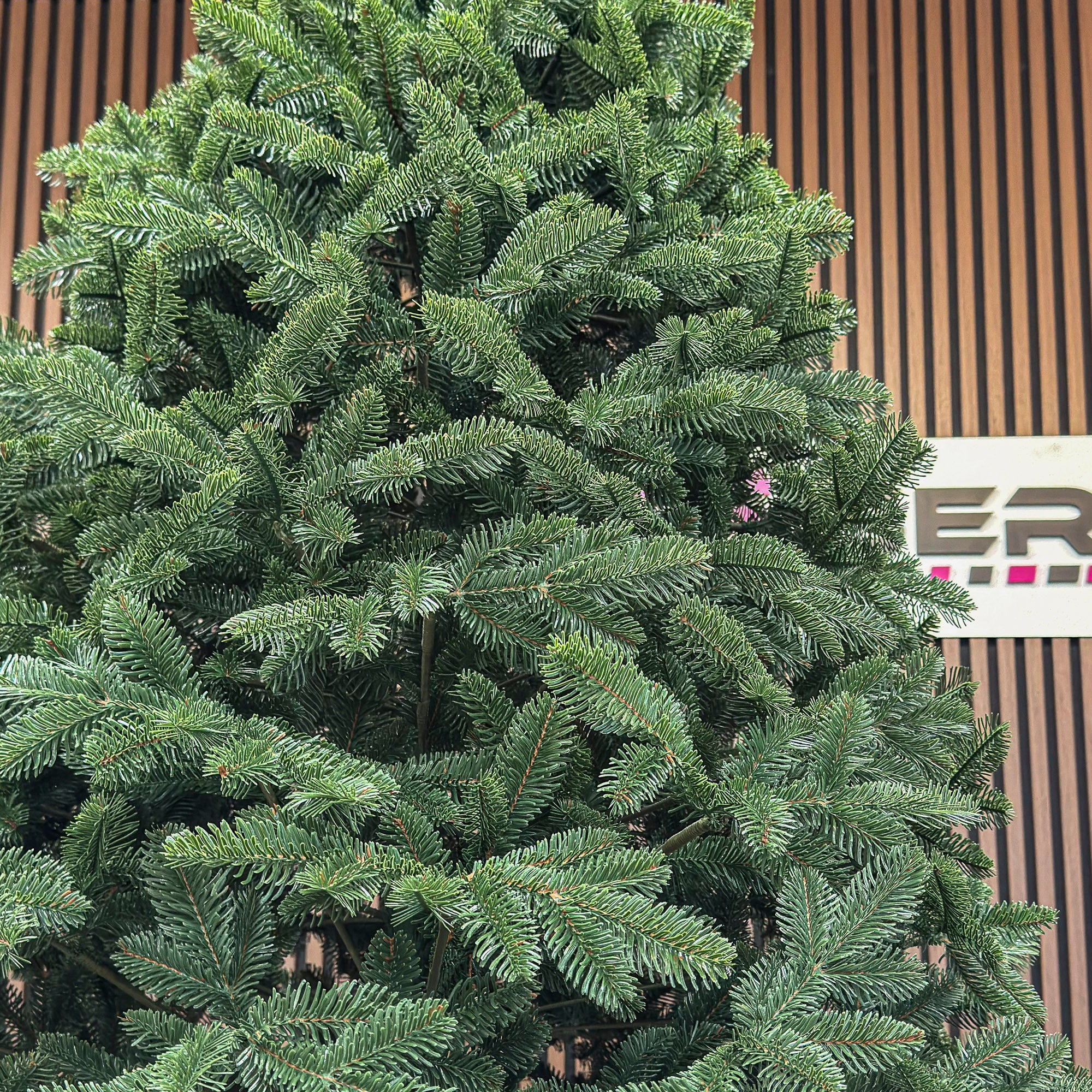 Brad artificial Christmas Deluxe by Sersimo, Canada verde, 3D, 210cm