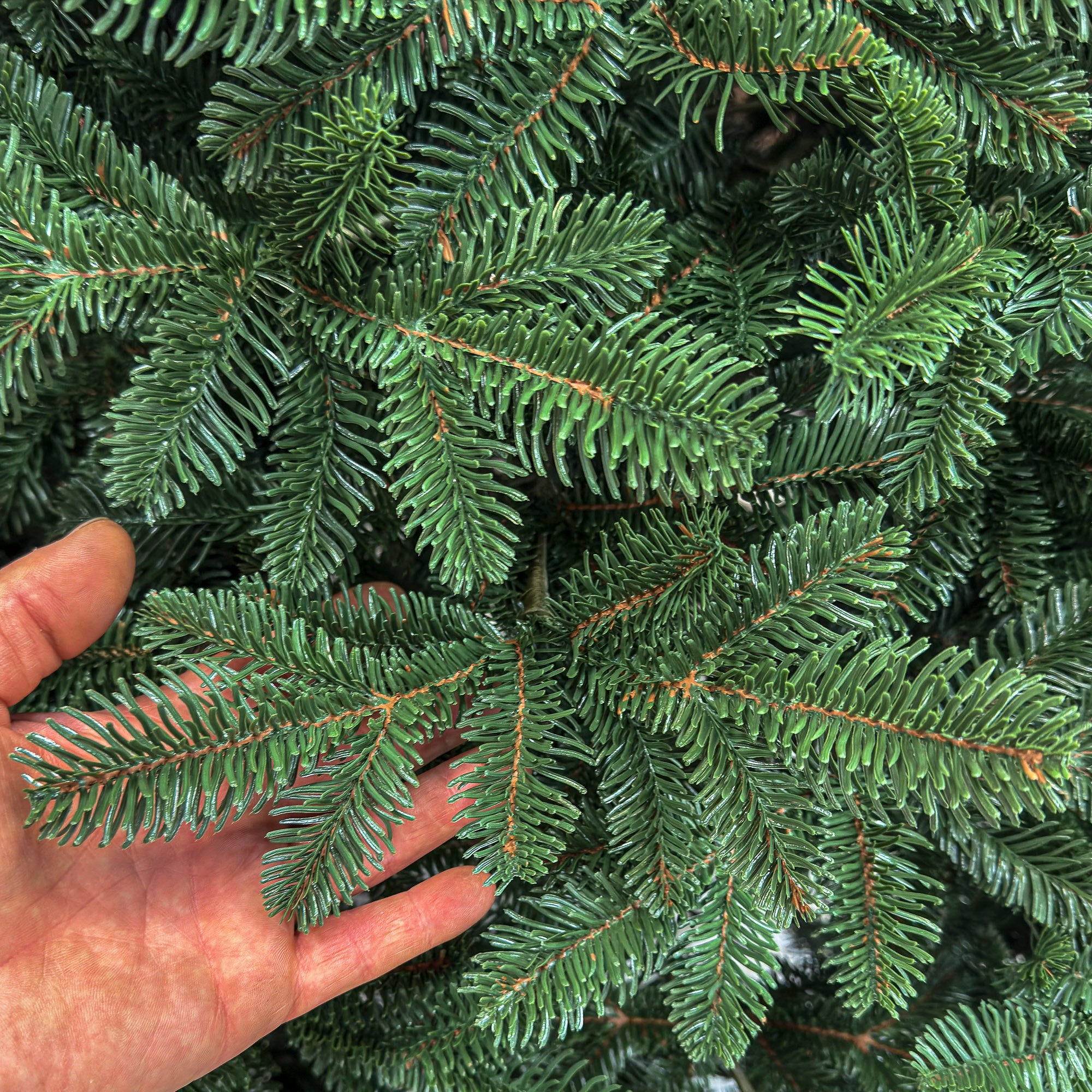 Brad artificial Christmas Deluxe by Sersimo, Canada verde, 3D, 210cm
