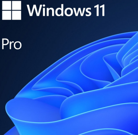 Microsoft SW WIN PRO N 11 64-BIT ALL LNG PK LIC ONLINE DWNLD NR MS "FWC-03370" – Licente Microsoft