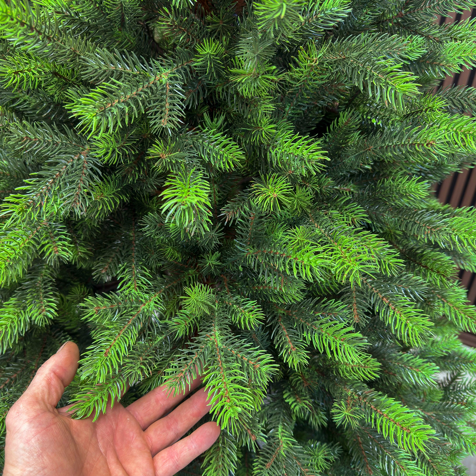 Brad artificial Sersimo, Hollandia, verde cu varfuri verzi, integral 3D, 180 cm