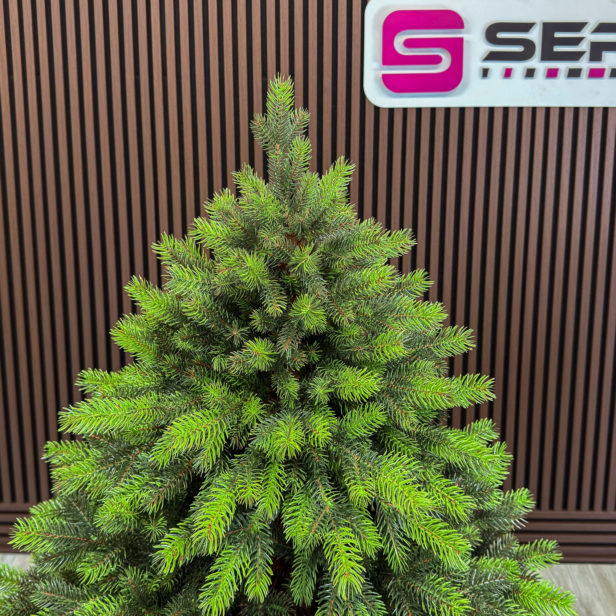 Brad artificial Sersimo, Hollandia, verde cu varfuri verzi, integral 3D, 180 cm