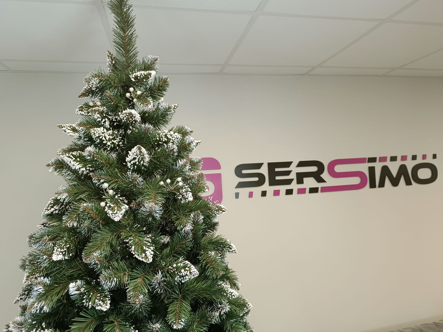 Brad artificial Christmas Deluxe by Sersimo, Crystal nins cu merisoare, 2D, 250cm