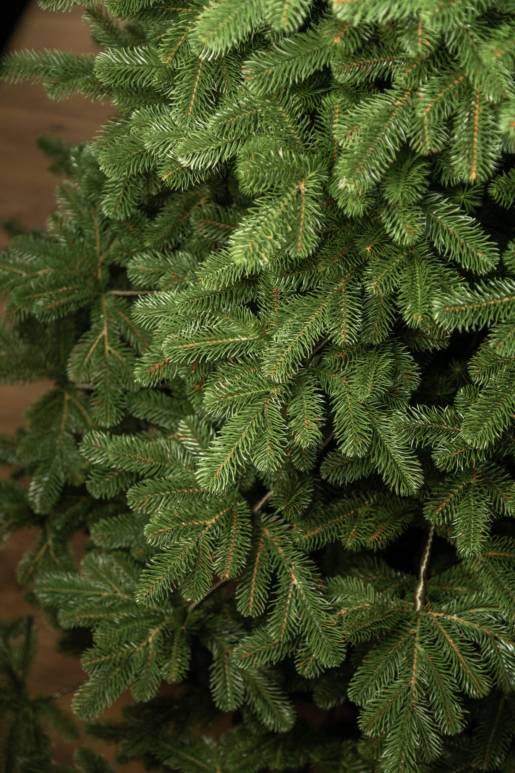 Brad artificial Christmas Deluxe by Sersimo, Kovalivka Select, integral 3D, 230cm