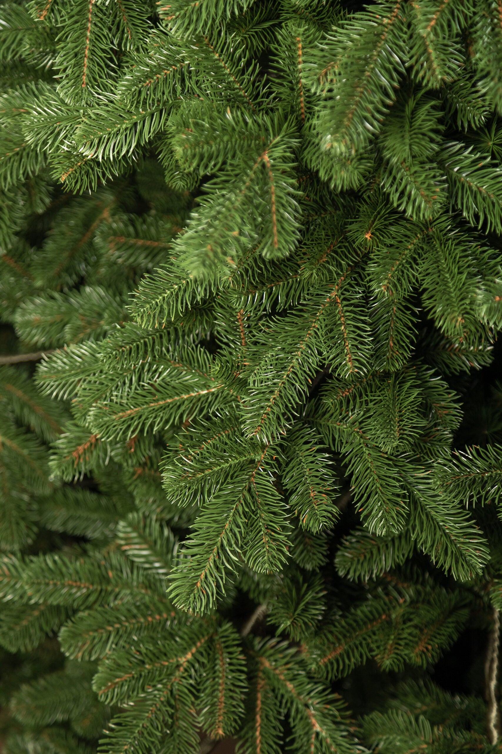 Brad artificial Christmas Deluxe by Sersimo, Kovalivka Select, integral 3D, 230cm