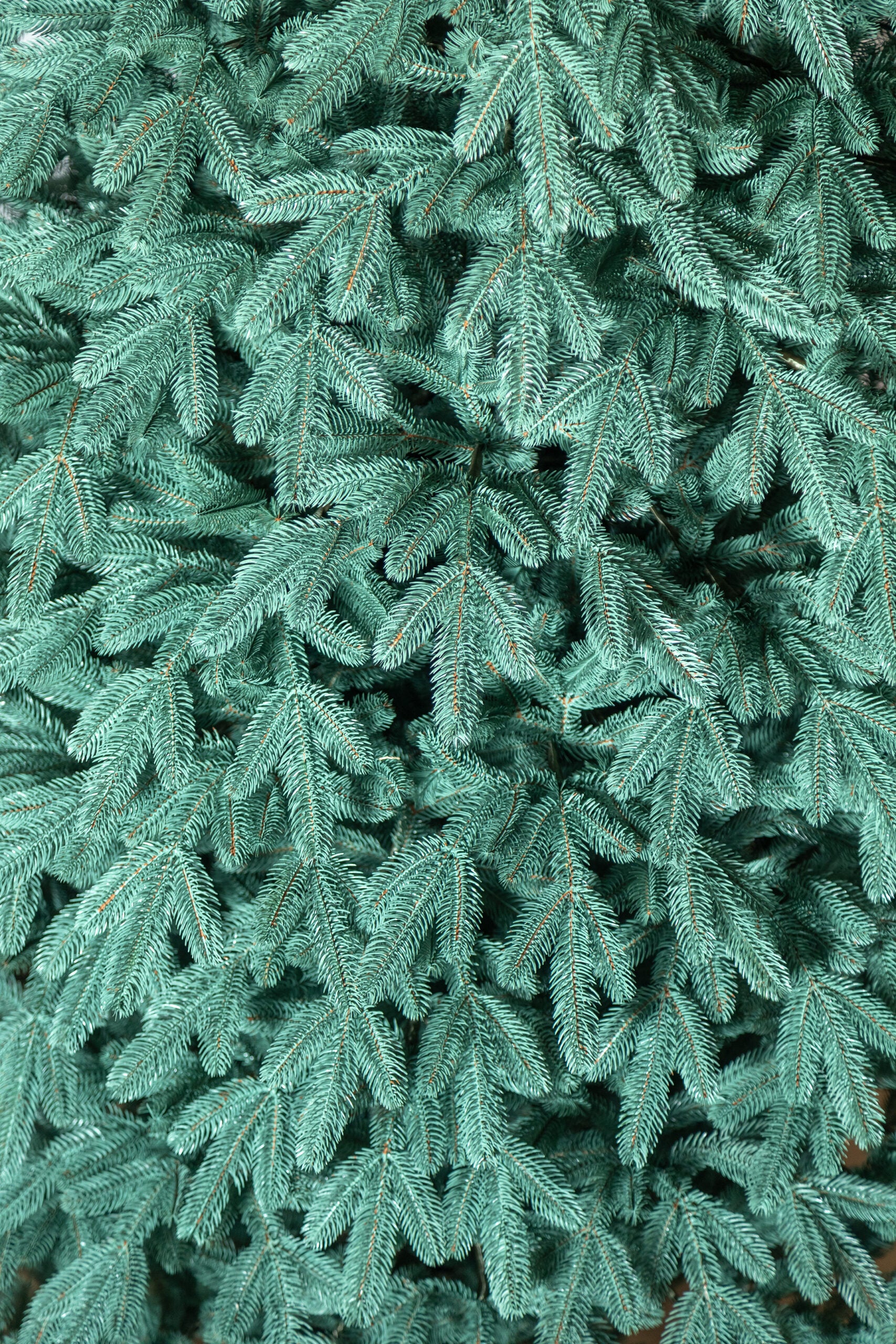 Brad artificial Christmas Deluxe by Sersimo, Laponia Select argintiu, integral 3D, 250cm