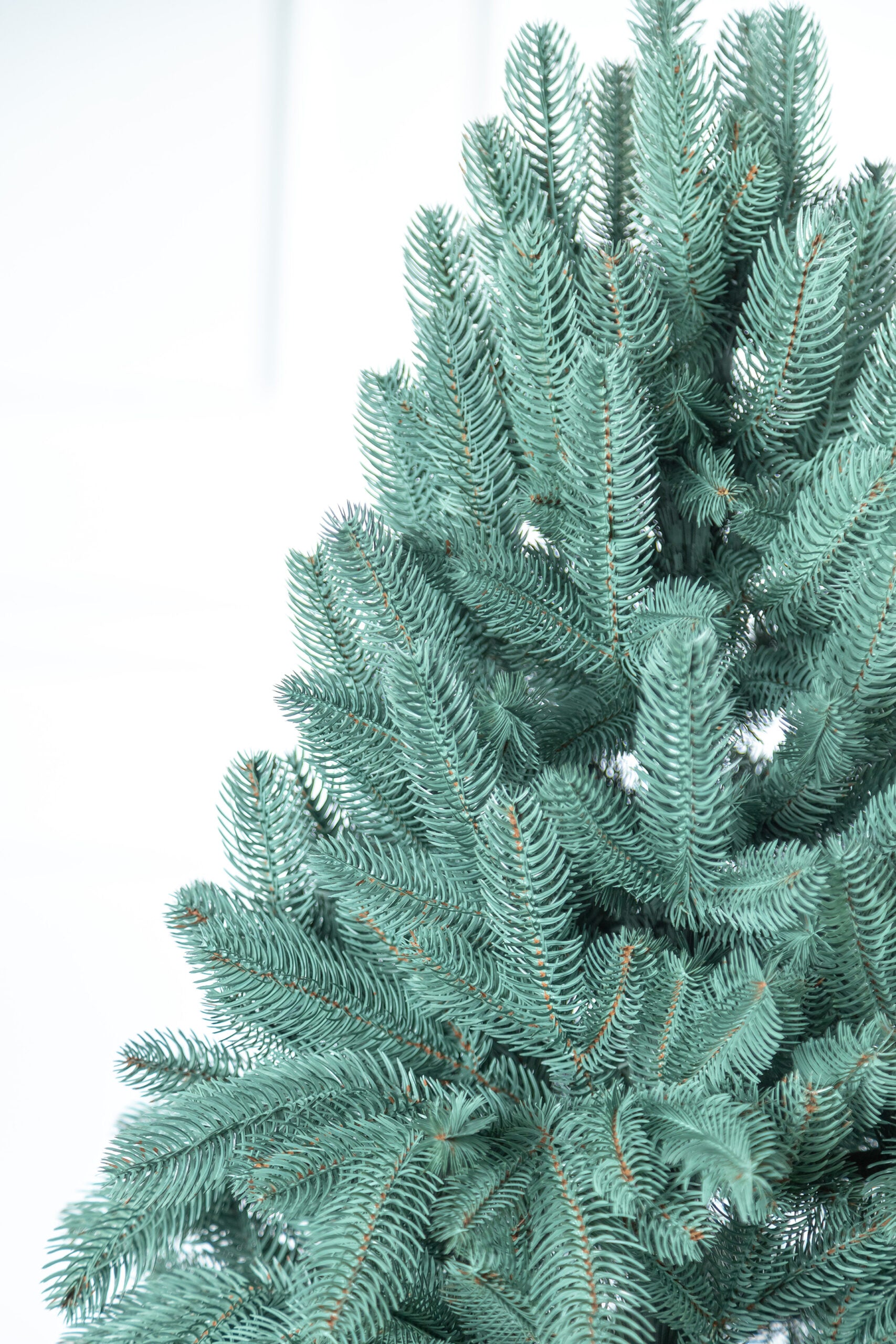 Brad artificial Christmas Deluxe by Sersimo, Laponia Select argintiu, integral 3D, 230cm