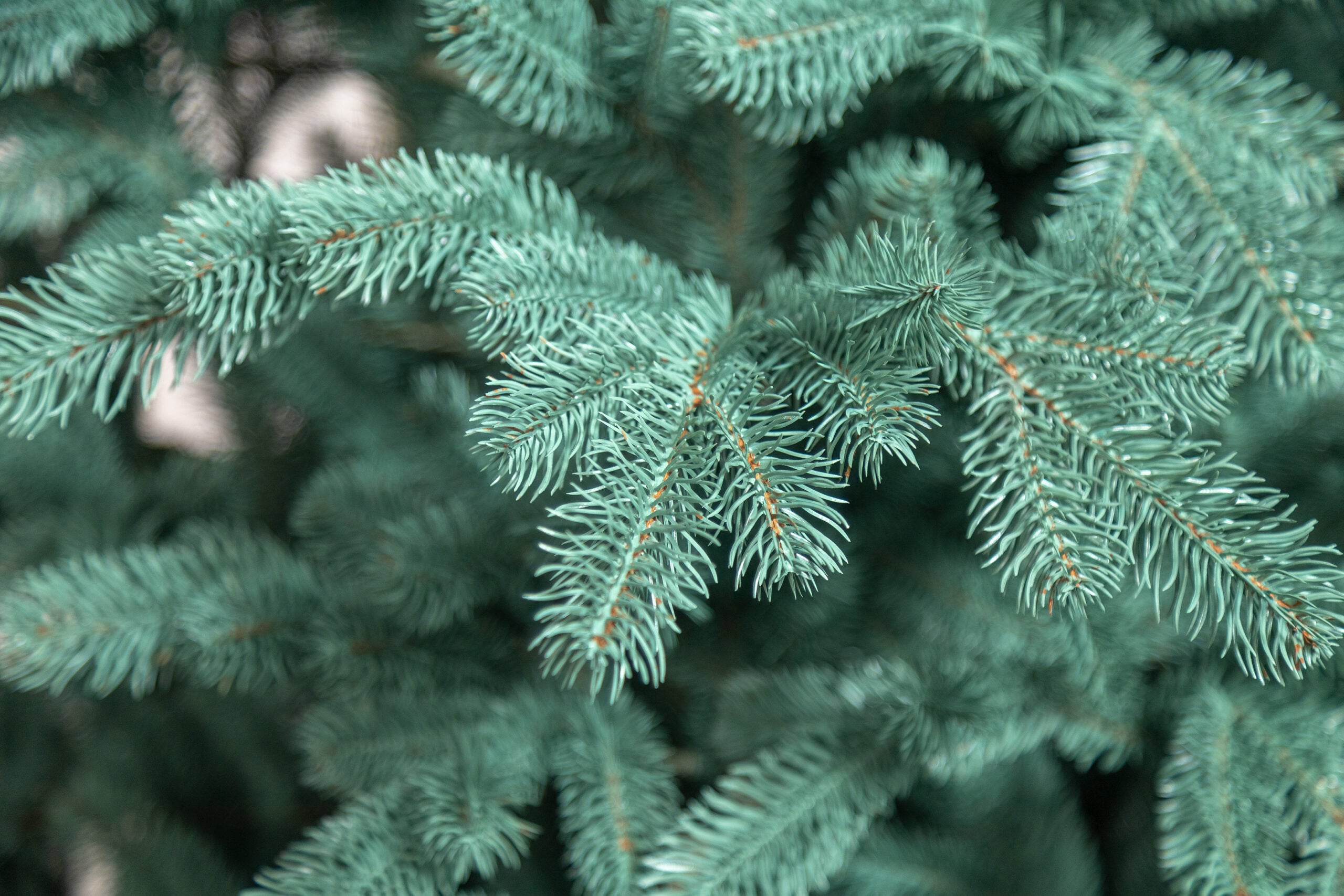 Brad artificial Christmas Deluxe by Sersimo, Kovalivka Select argintiu, integral 3D, 210 cm