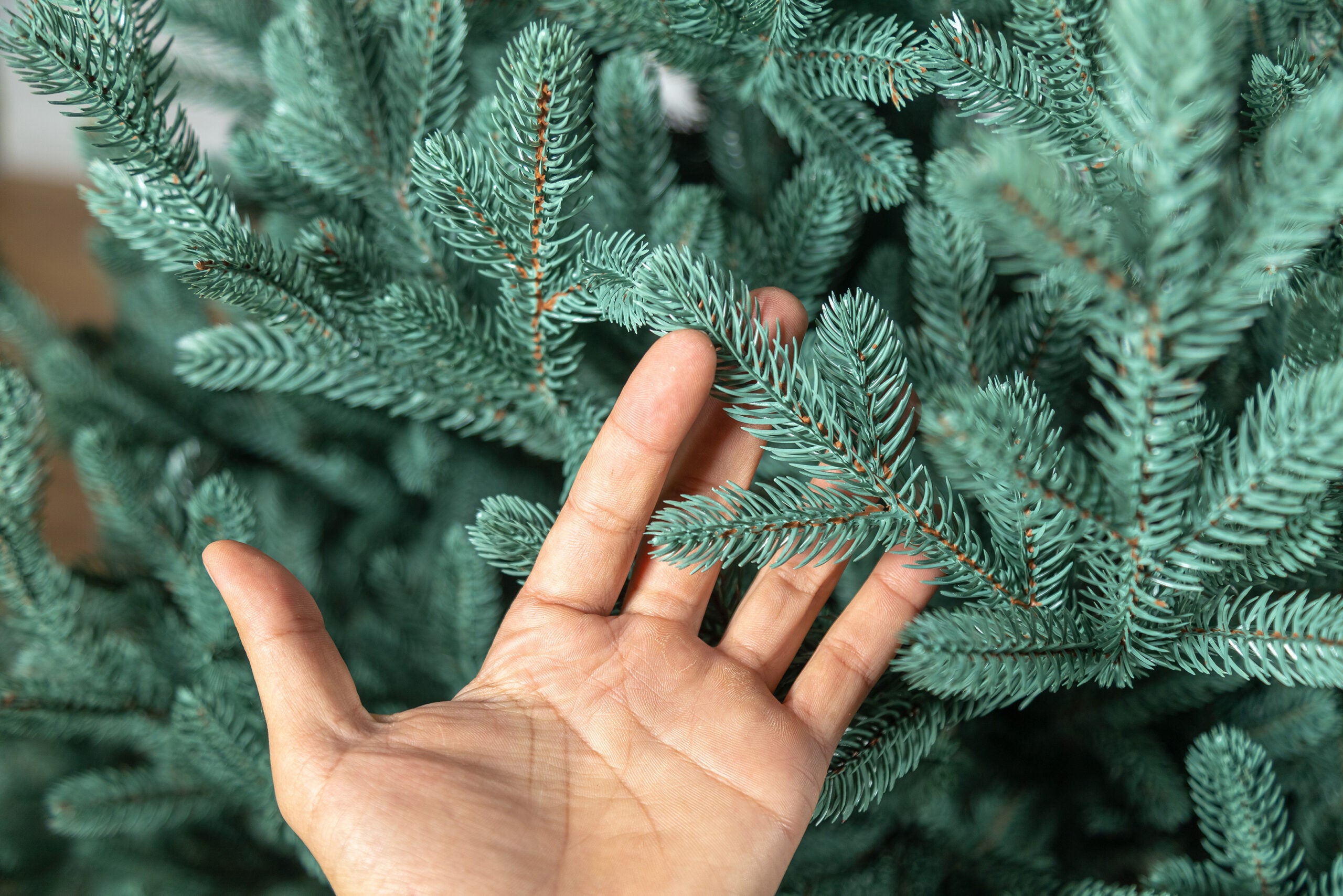 Brad artificial Christmas Deluxe by Sersimo, Viena Select argintiu, integral 3D, 210cm